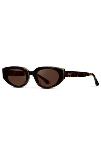 Wmp Eyewear Astra In Brown