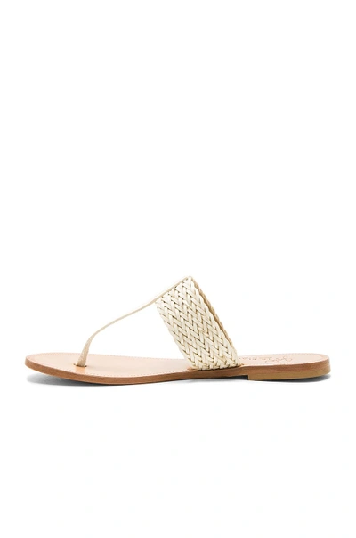Shop Joie Haile Sandal In Ivory