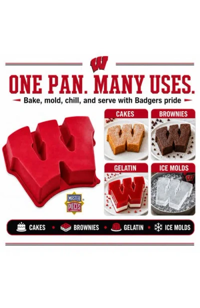 Fanpan Wisconsin Badgers Cake Pan In Multi