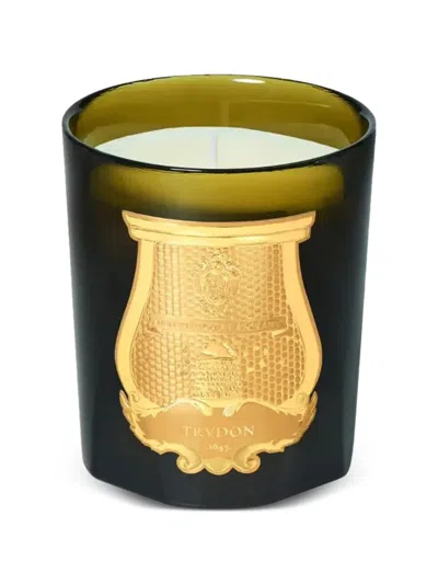 Trudon Ernesto Leather And Tobacco Candle In Green