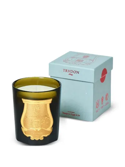 Trudon Ernesto Leather And Tobacco Candle In Green