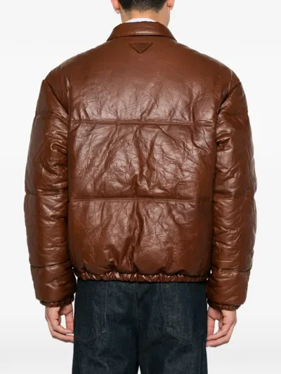 Prada Quilted Leather Jacket In Brown