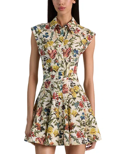 Alice And Olivia Kim Paneled Corset Flared Mini Shirt Dress Desert Springs Vanilla In Multi