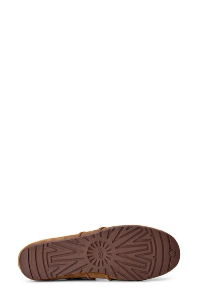 Ugg Quill Ballet Sneakers In Brown
