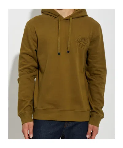 Etro Pegaso-embroidered Drawstring Hoodie In Brown