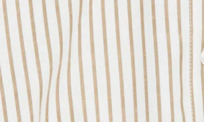 Max Studio Stripe Button-up Shirt