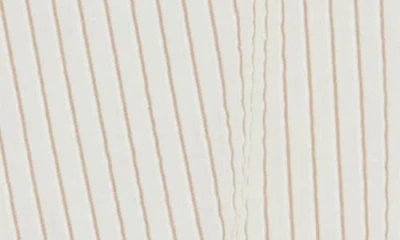Max Studio Stripe Button-up Shirt