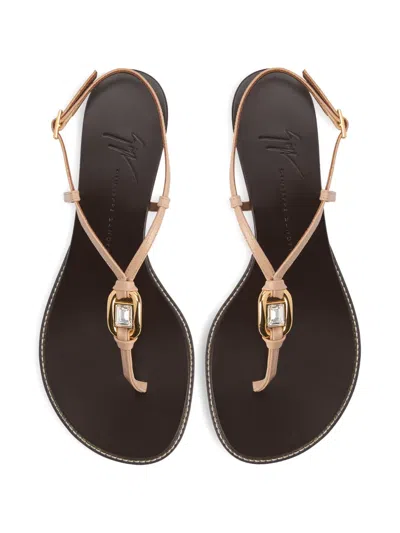 Giuseppe Zanotti Amhelia In Multi