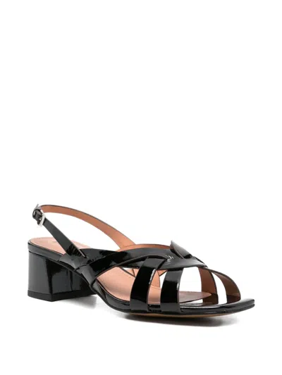 Bibi Lou Nolia Sandals In Black