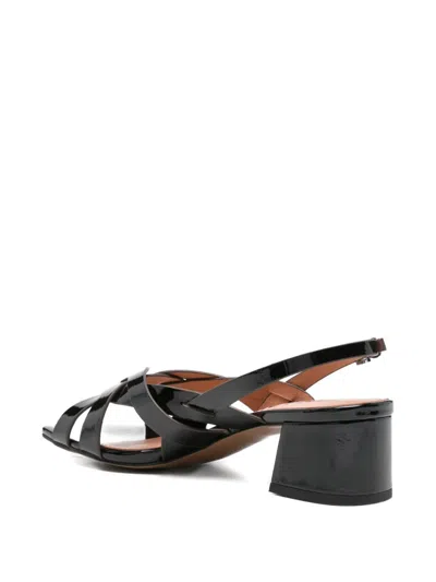 Bibi Lou Nolia Sandals In Black