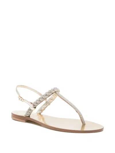 Eddi Cuomo T-strap Sandals In Multi
