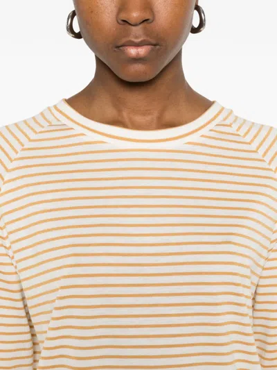 Herno Striped T-shirt In Brown