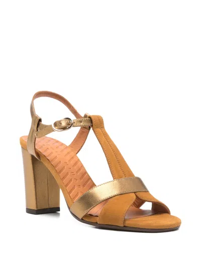 Chie Mihara T 스트랩 샌들 In Brown