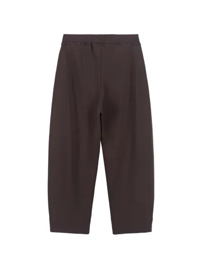 8pm 리우데자네이루 골지 팬츠 In Brown