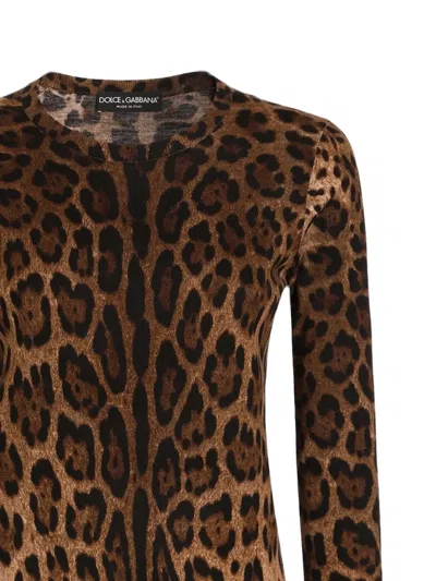 Dolce & Gabbana Leo-print Wool Pullover In Brown