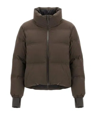 Herno Stand-collar Down Jacket In Brown