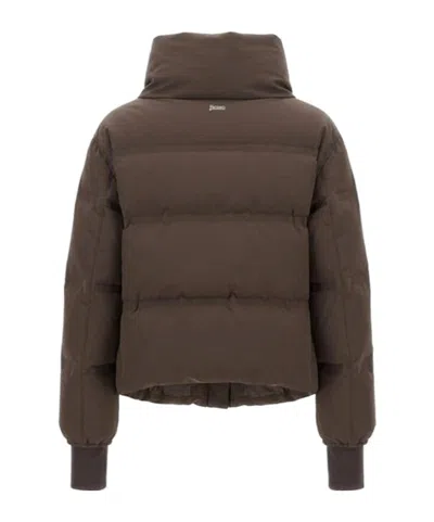 Herno Stand-collar Down Jacket In Brown