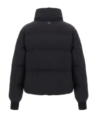 Herno Stand-collar Down Jacket In Black