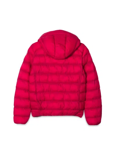 Invicta Jacket In Red