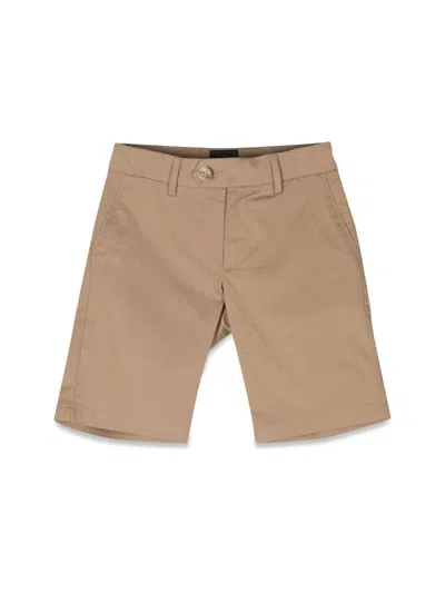 Fay In Brown