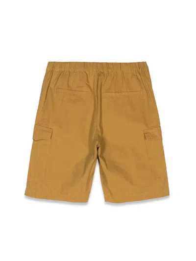Moschino Short In Yellow