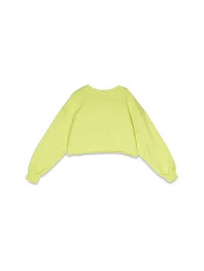 Msgm Cropped Sweatshirt In Green