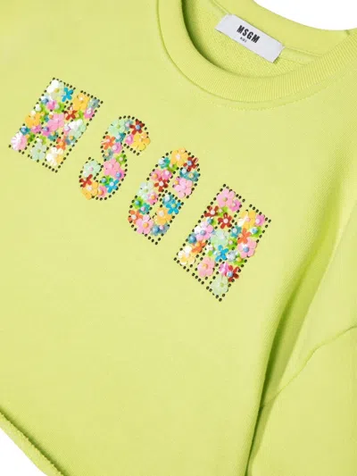 Msgm Cropped Sweatshirt In Green