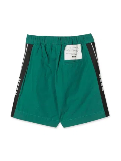 Msgm Cotton Bermuda In Green