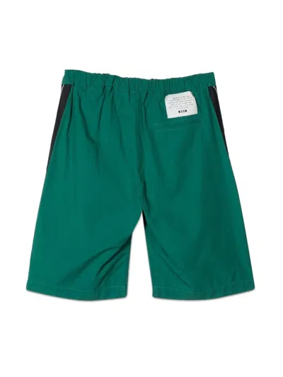 Msgm Cotton Bermuda In Green