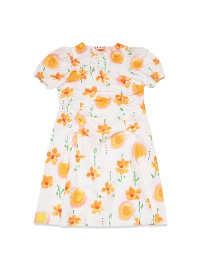 Marni Dress In Multi