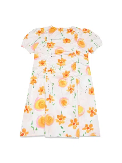Marni Dress In Multi
