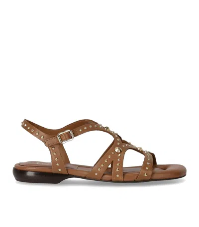 Ash Open-toe Leather Flat Sandals In Brown