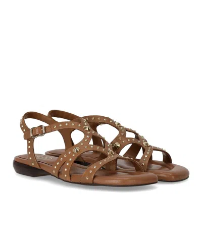 Ash Open-toe Leather Flat Sandals In Brown