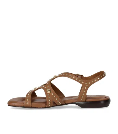Ash Open-toe Leather Flat Sandals In Brown