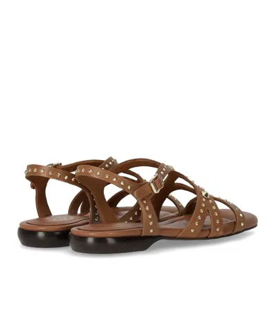 Ash Open-toe Leather Flat Sandals In Brown