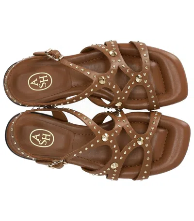 Ash Open-toe Leather Flat Sandals In Brown