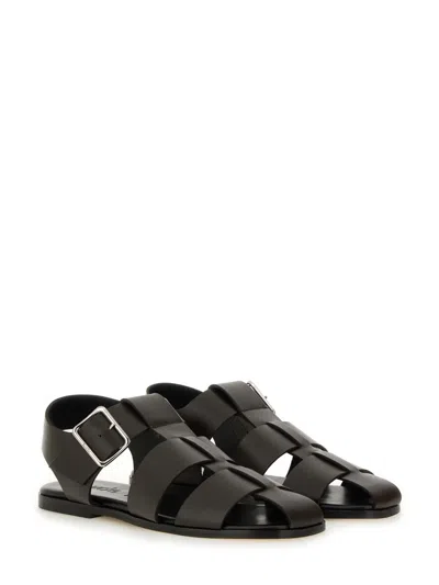 Aeyde Buckle Fastened Cut Out Sandals In Dark Brown