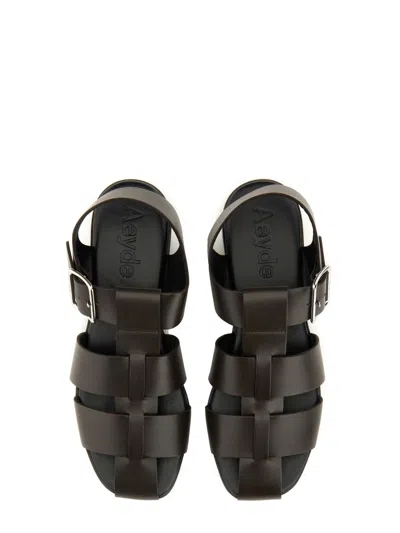Aeyde Buckle Fastened Cut Out Sandals In Dark Brown