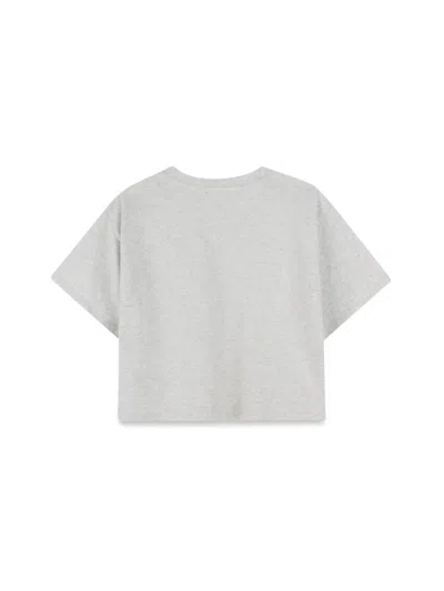 Dkny T-shirt In Gray