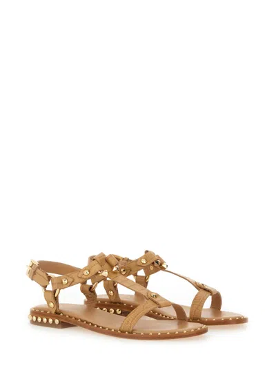 Ash Patsy Bis Croc Printed Embellished Flat Sandal In Brown
