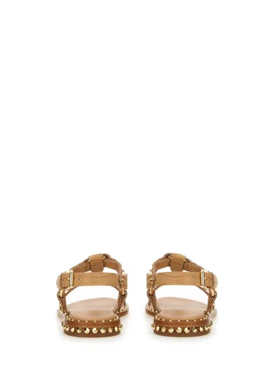Ash Patsy Bis Croc Printed Embellished Flat Sandal In Brown