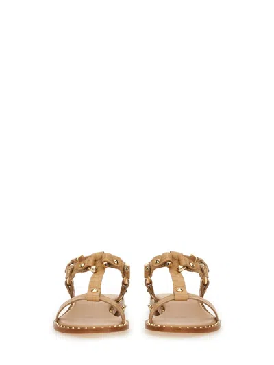 Ash Patsy Bis Croc Printed Embellished Flat Sandal In Brown