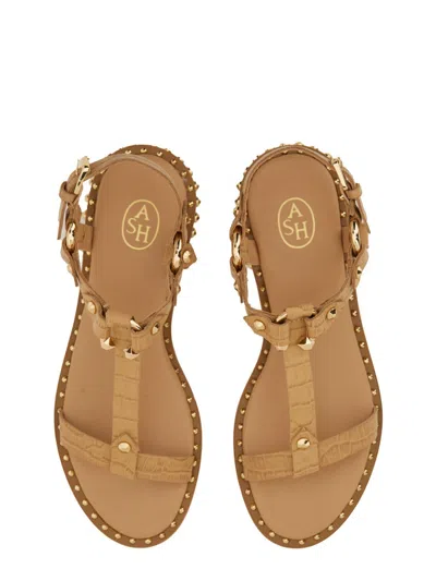 Ash Patsy Bis Croc Printed Embellished Flat Sandal In Brown