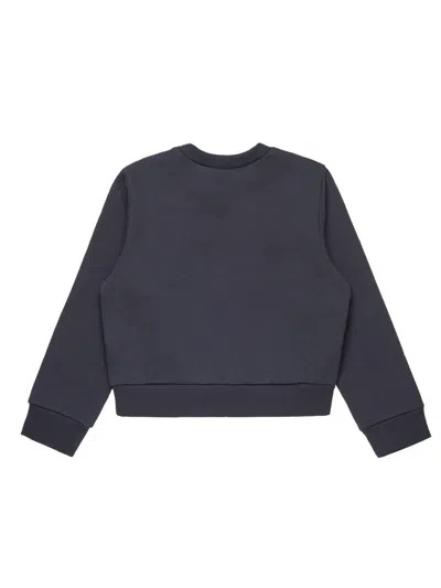 Max & Co Max&co. Sweatshirt In Grey