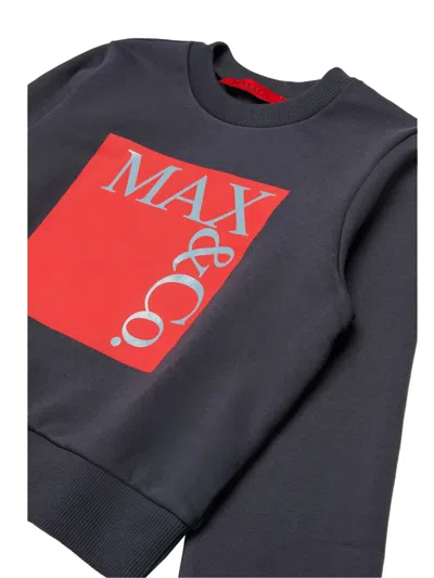 Max & Co Max&co. Sweatshirt In Grey