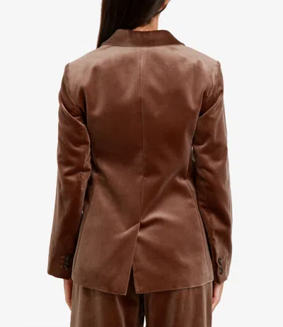 S Max Mara Jackets Camel In Neutral