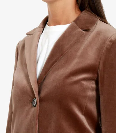 S Max Mara Jackets Camel In Neutral