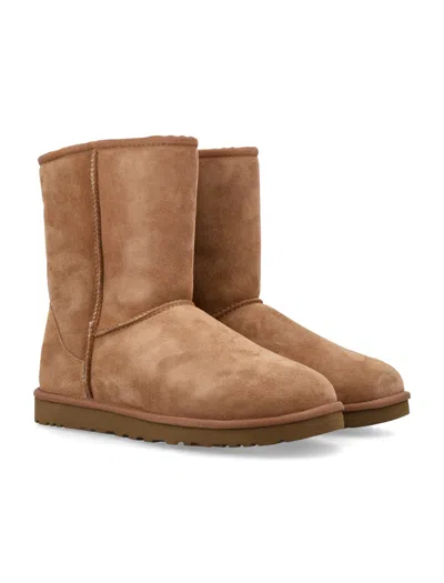 Ugg Classic Short Boots In Chestnut