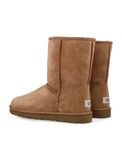 Ugg Classic Short Boots In Chestnut