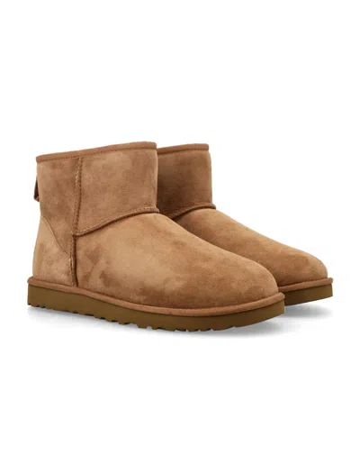 Ugg Flat Shoes In Brown